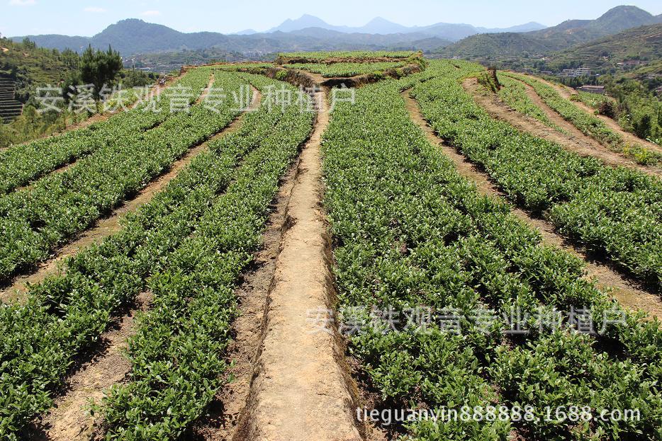 航天汽车6大岗位等你来!