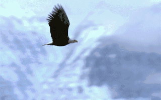 大宏立:公司始终密切关注国家重大项目的动态进展